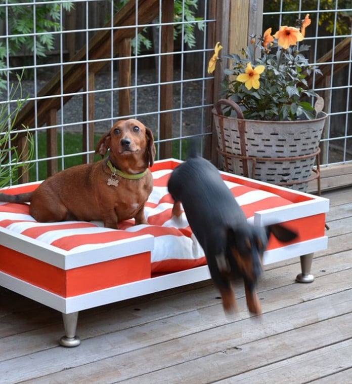 outdoor dog bed with shade