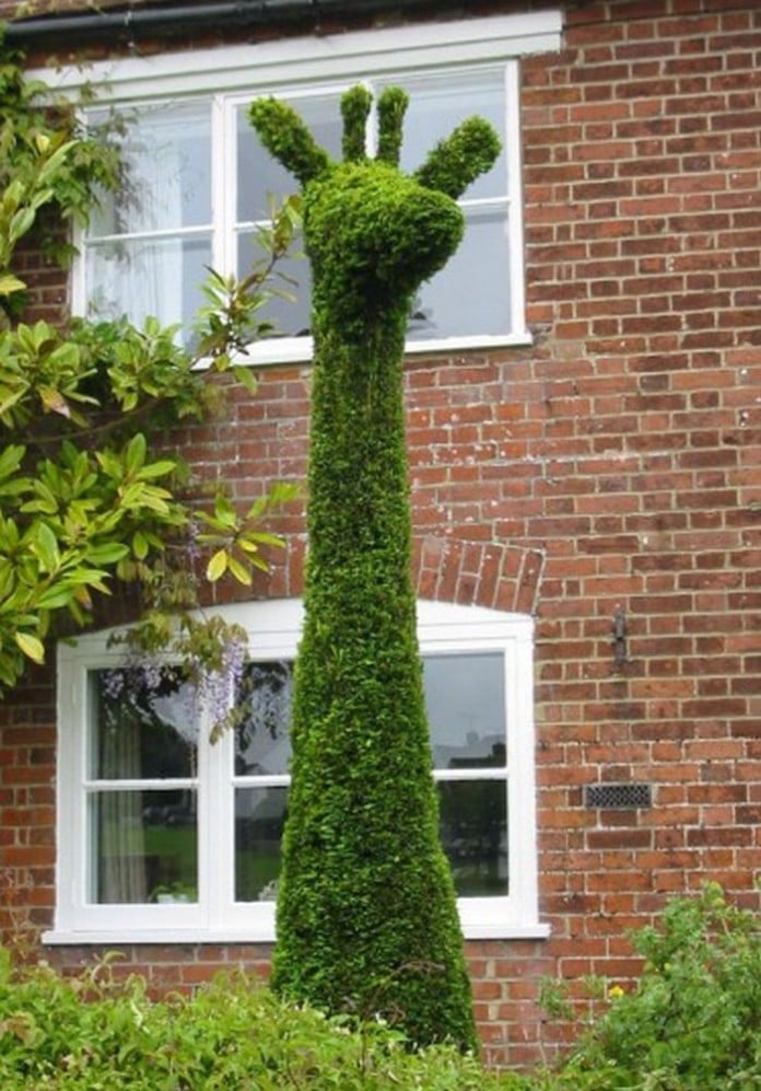 Image result for topiary john brooker