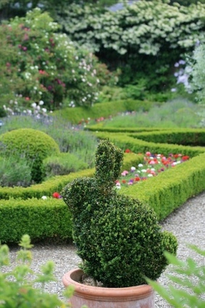 Image result for topiary john brooker