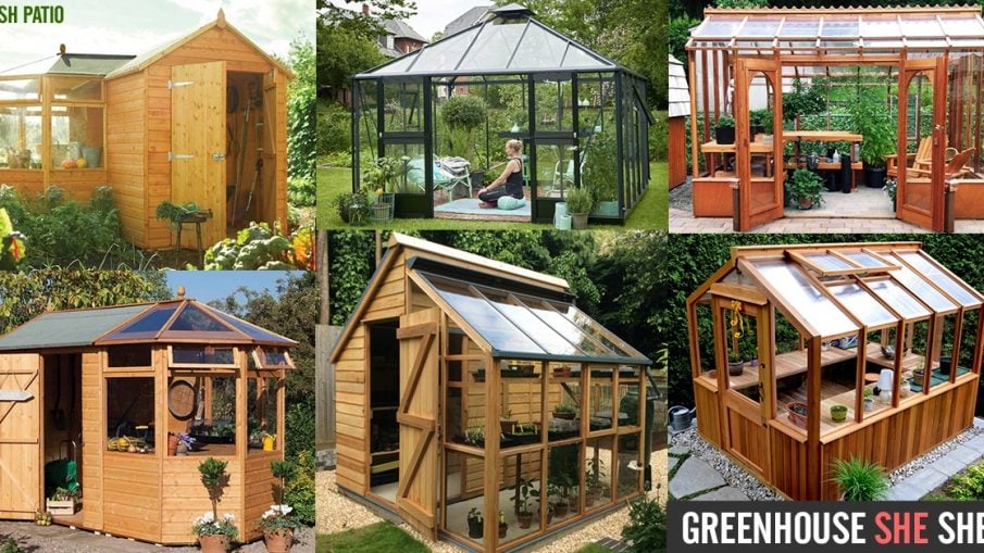 Greenhouse SHE Shed DIY Kit Ideas