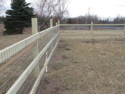 DIY Dog Fence Ideas and Installation Tips: 6 Best Cheap Designs