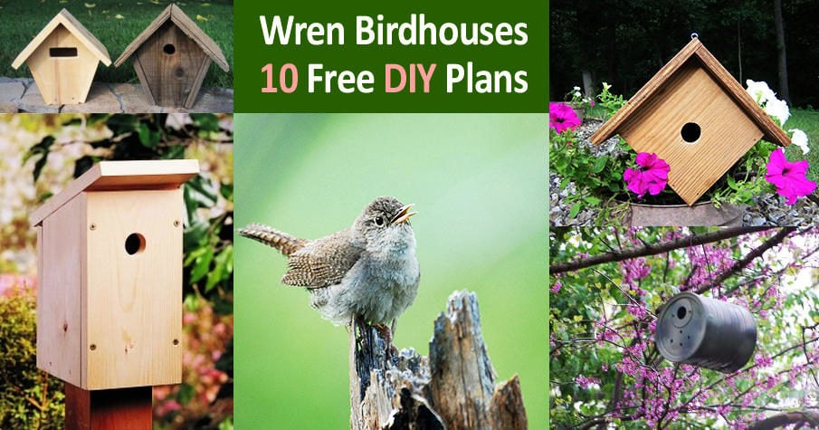 Free DIY Wren Bird House Plans