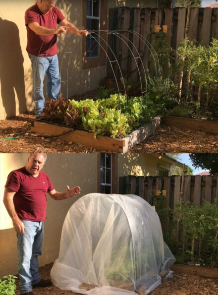 Raised Garden Bed with Greenhouse Top - 13 DIY Plans and Ideas