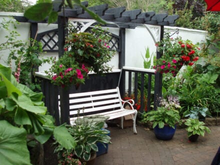 16 Gorgeous Garden Wall Ideas to Enhance Your Home