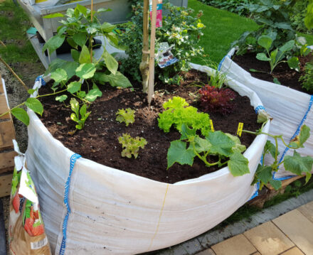 15 Inexpensive Raised Garden Bed Ideas: On a Budget DIY