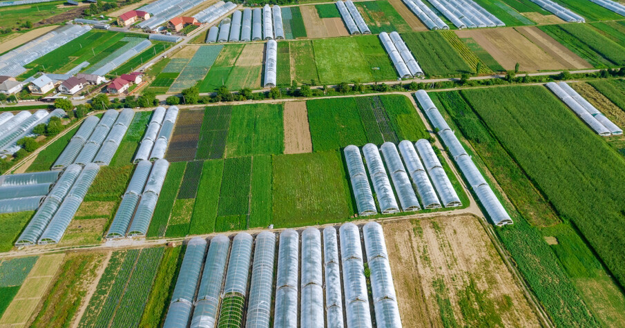 What is a Chinese Greenhouse?