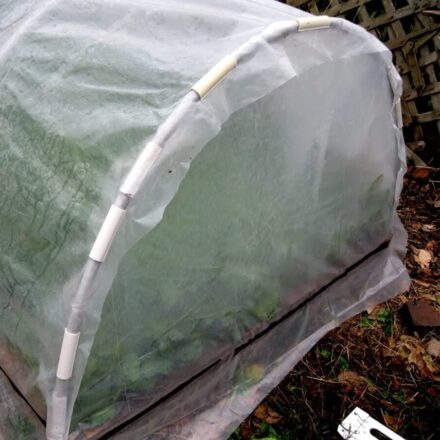 Picture of Untitled Image