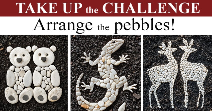 Pebble Animals Garden Art Challenge