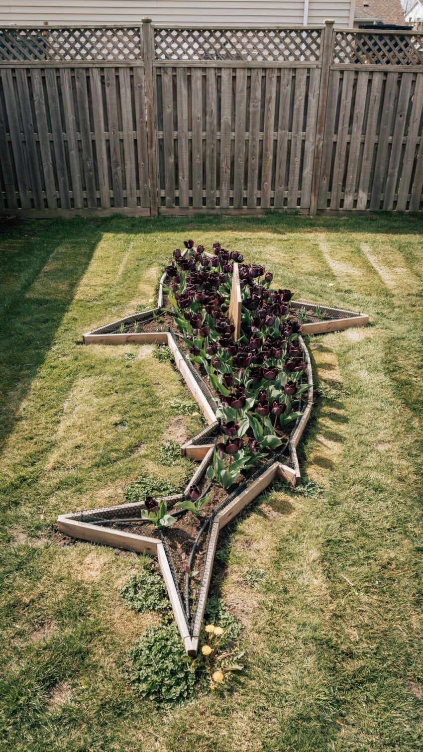 DIY Great White Shaped Garden Bed for Kids