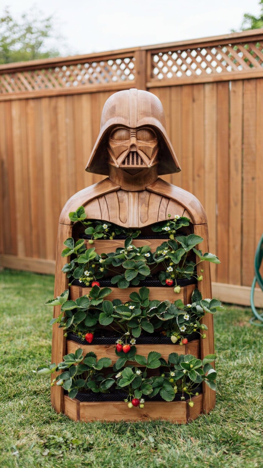 Darth Vader Tiered Strawberry Planter for Kids and Adults
